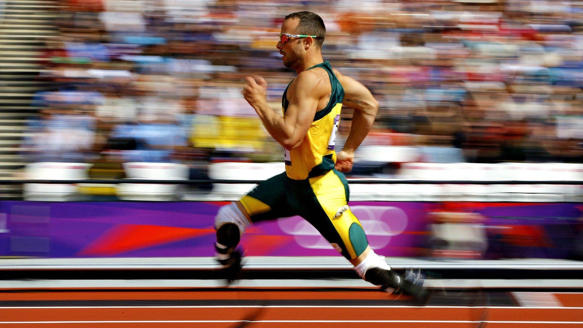 男子蝶泳技术动作细节不断优化,男子蝶泳100米