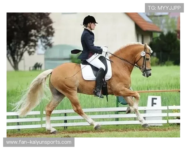 俱乐部在比赛准备中重视恢复与康复流程，俱乐部的比赛