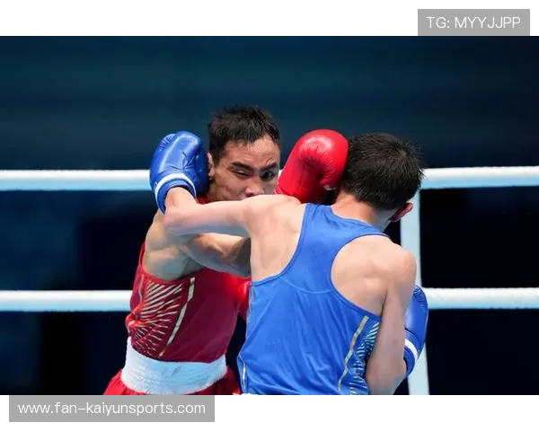 拳击赛主裁判解读判罚引发热议讨论